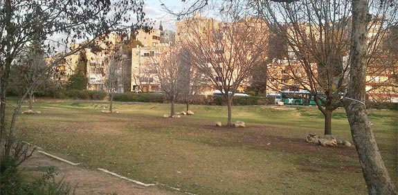 שטחים ציבוריים פתוחים / צלם: איל יצהר